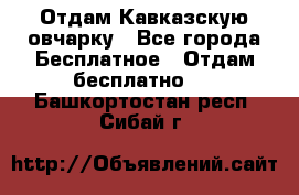 Отдам Кавказскую овчарку - Все города Бесплатное » Отдам бесплатно   . Башкортостан респ.,Сибай г.